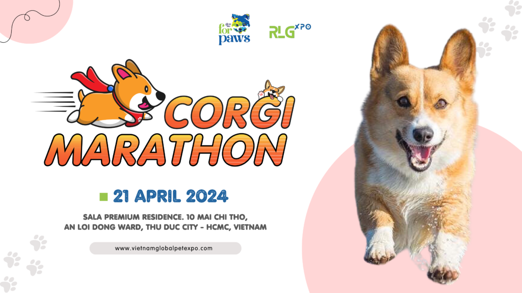 Corgi Marathon